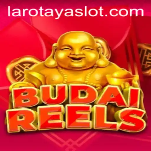 Experience the Excitement of BudaiReels: A LAROTAYA Adventure